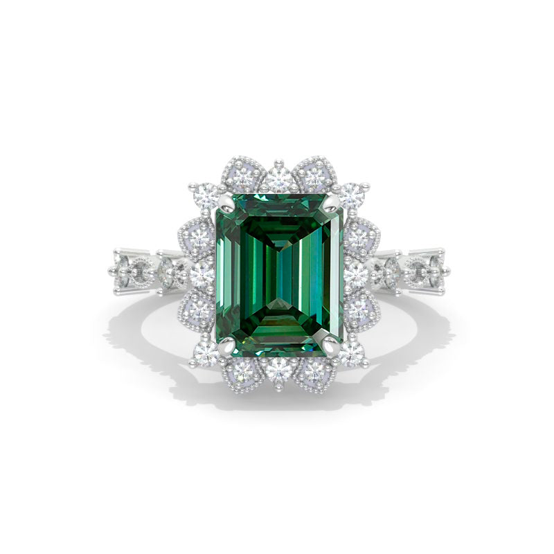 clio-https://clio.giliarto.com/ring/1/1340
