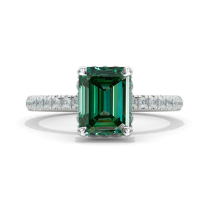 clio-https://clio.giliarto.com/ring/1/1170
