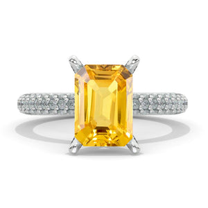 clio-https://clio.giliarto.com/ring/1/1176
