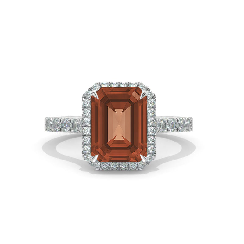 clio-https://clio.giliarto.com/ring/1/1203
