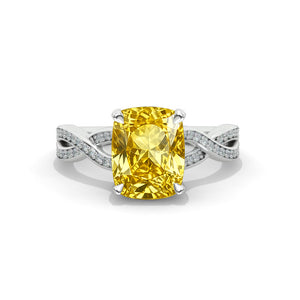 clio-https://clio.giliarto.com/ring/1/1211
