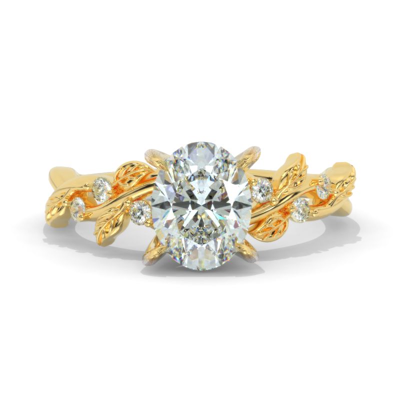 clio-https://clio.giliarto.com/ring/1/446