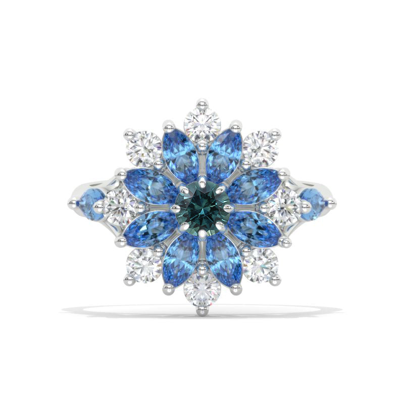 clio-https://clio.giliarto.com/ring/1/1126