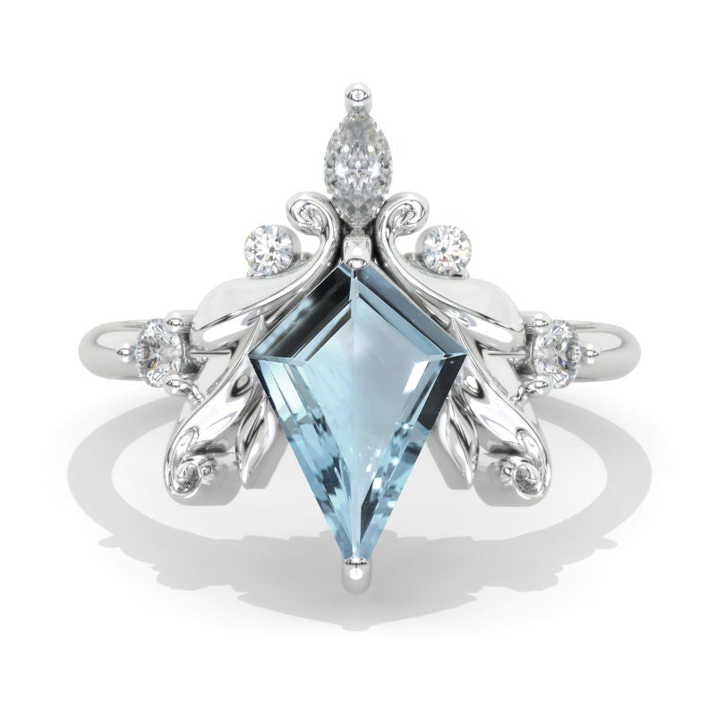 clio-https://clio.giliarto.com/ring/1/1138