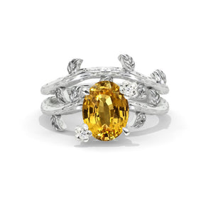 clio-https://clio.giliarto.com/ring/1/830
