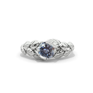 clio-https://clio.giliarto.com/ring/1/elr
