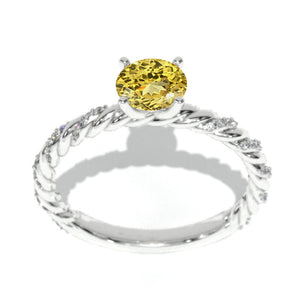 clio-https://clio.giliarto.com/ring/1/155
