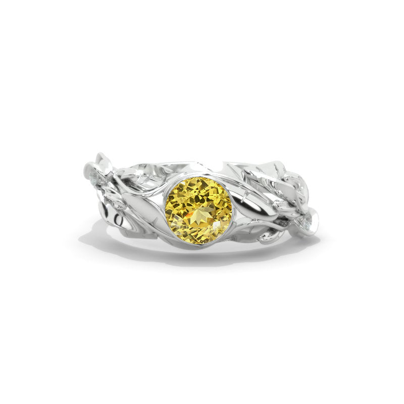 clio-https://clio.giliarto.com/ring/1/r4
