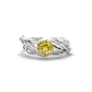 clio-https://clio.giliarto.com/ring/1/153
