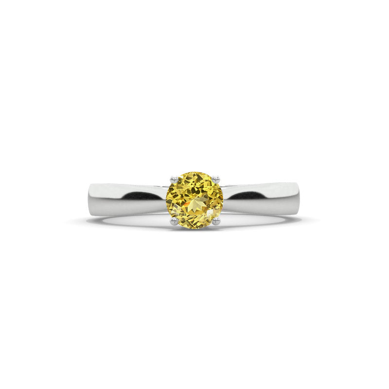 clio-https://clio.giliarto.com/ring/1/1348
