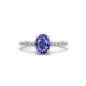 clio-https://clio.giliarto.com/ring/1/sd
