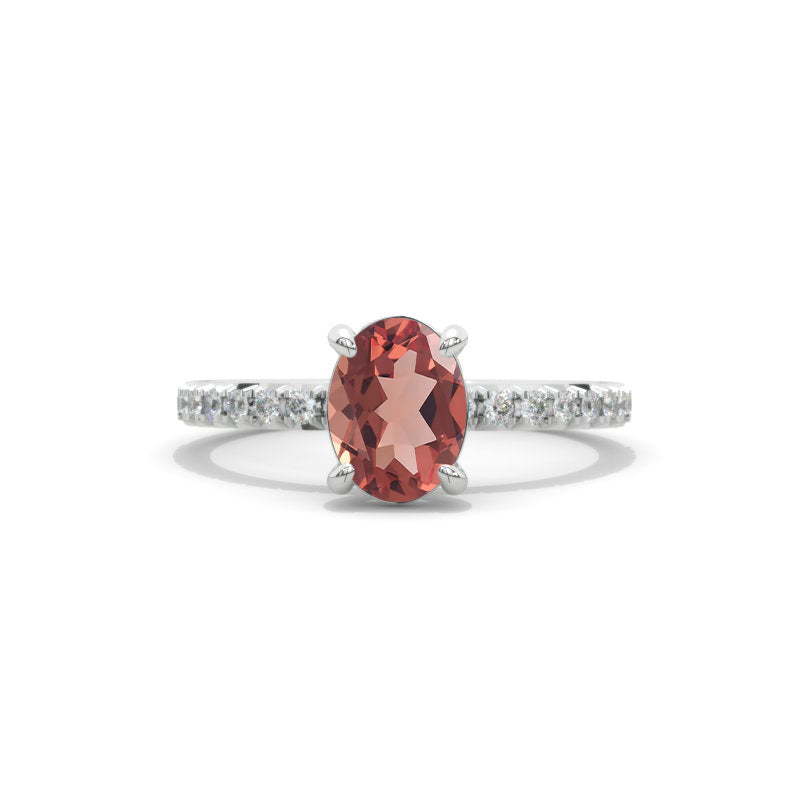 clio-https://clio.giliarto.com/ring/1/sd
