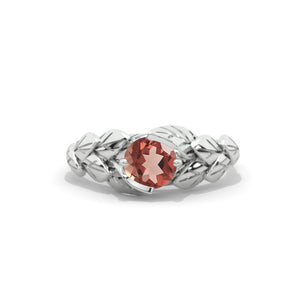 clio-https://clio.giliarto.com/ring/1/elr
