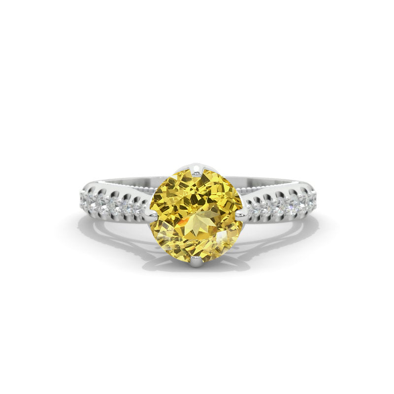 clio-https://clio.giliarto.com/ring/1/ar1
