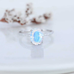 https://clio.giliarto.com/ring/1/513