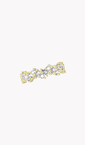 Ring 10293