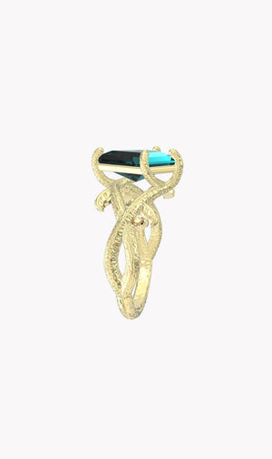 Ring 10365