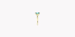 Ring 10255
