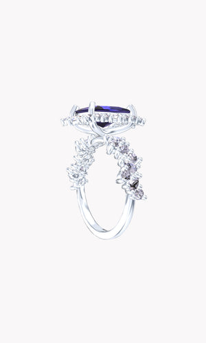 Ring 10343