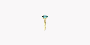 Ring 10254