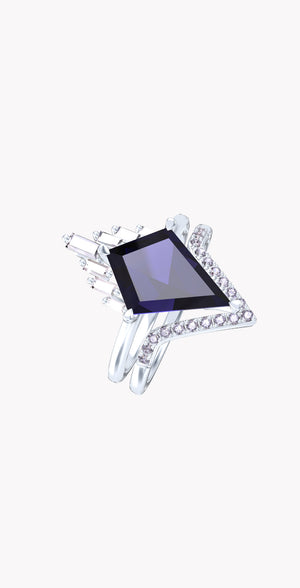 Ring 10304