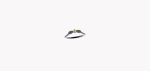 Ring 10070