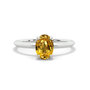 clio-https://clio.giliarto.com/ring/1/137
