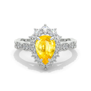 clio-https://clio.giliarto.com/ring/1/4005
