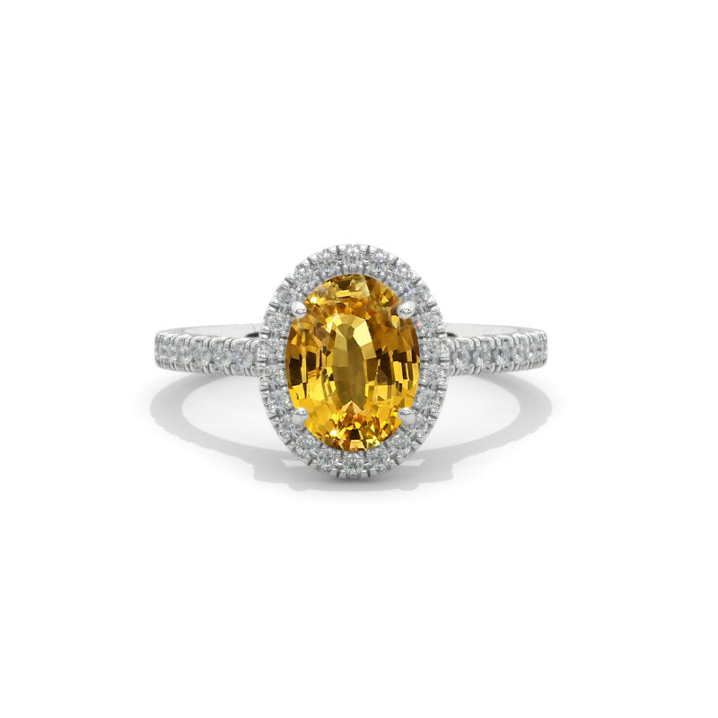 Clio-https://clio.giliarto.com/ring/1/1002

