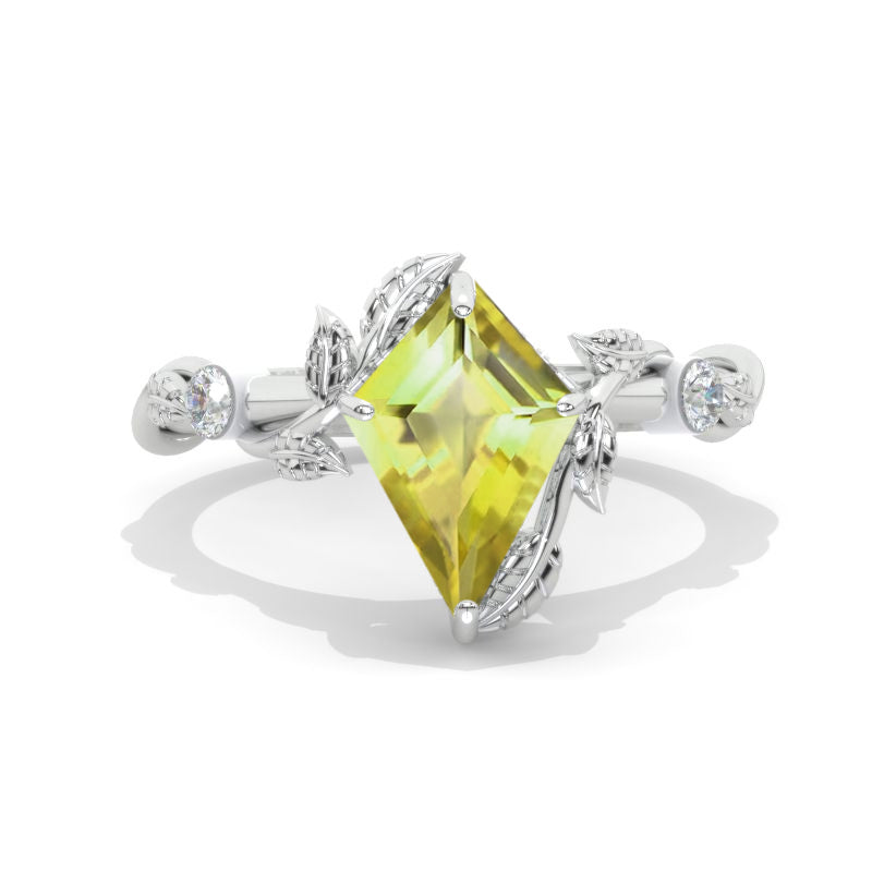 clio-https://clio.giliarto.com/ring/1/984
