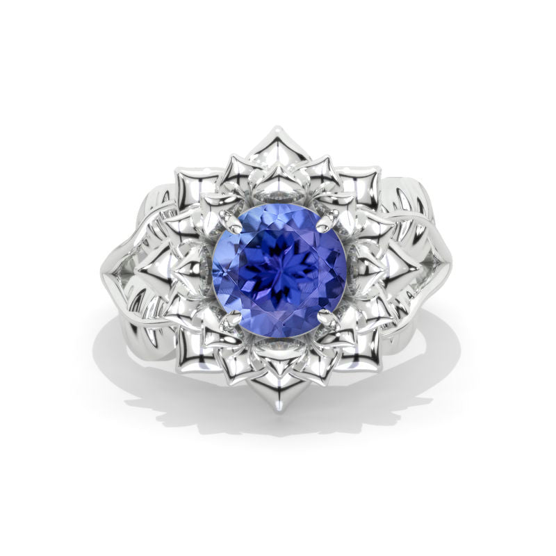 clio-https://clio.giliarto.com/ring/1/944
