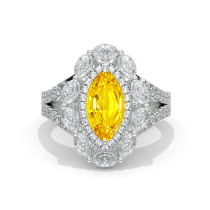 clio-https://clio.giliarto.com/ring/1/572_10x8
