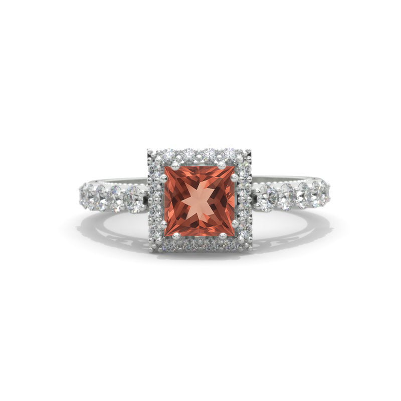 clio-https://clio.giliarto.com/ring/1/ap
