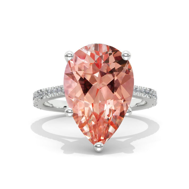 clio-https://clio.giliarto.com/ring/1/579
