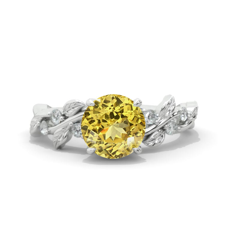 clio-https://clio.giliarto.com/ring/1/446
