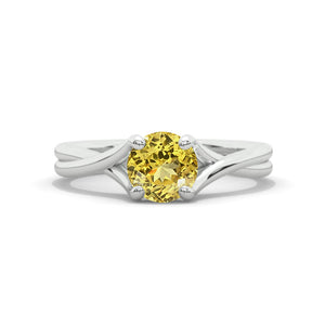 clio-https://clio.giliarto.com/ring/1/4005
