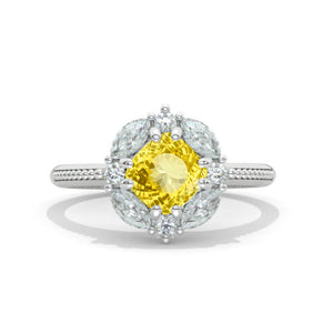 clio-https://clio.giliarto.com/ring/1/1176
