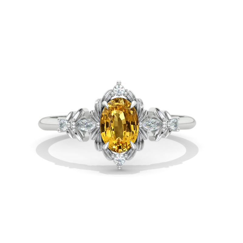 clio-https://clio.giliarto.com/ring/1/1212
