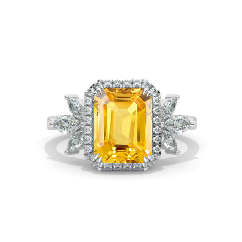 clio-https://clio.giliarto.com/ring/1/1210
