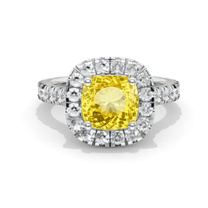 clio-https://clio.giliarto.com/ring/1/mila
