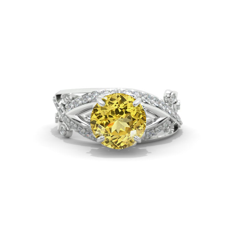 clio-https://clio.giliarto.com/ring/1/301
