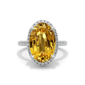 clio-https://clio.giliarto.com/ring/1/405
