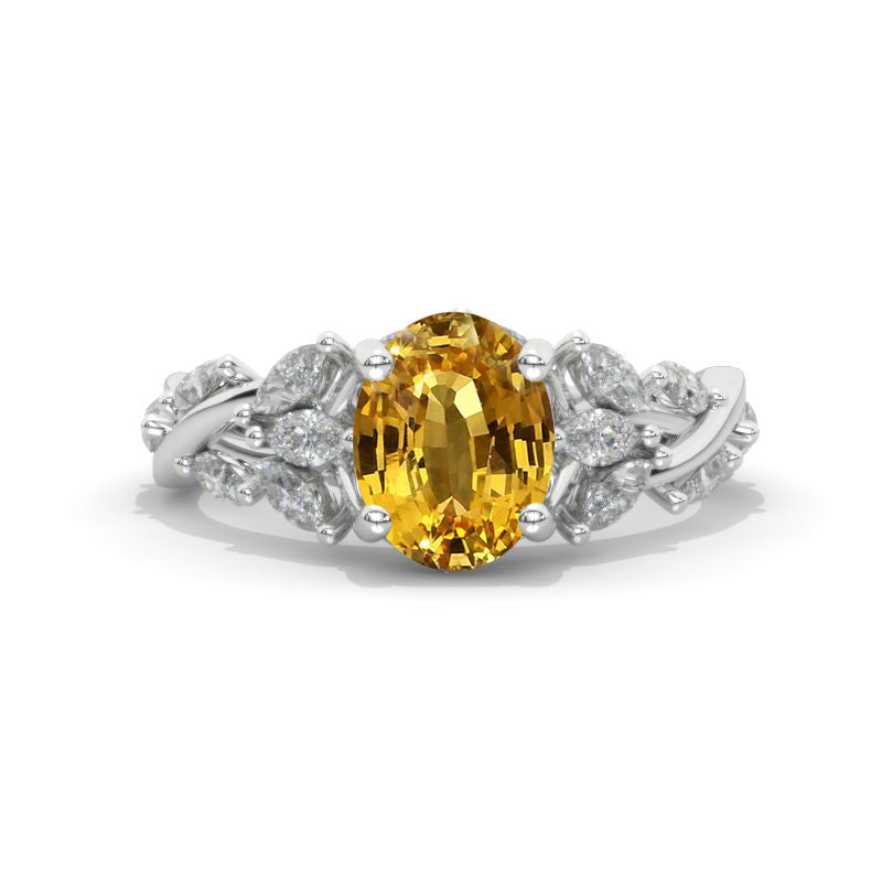 clio-https://clio.giliarto.com/ring/1/817
