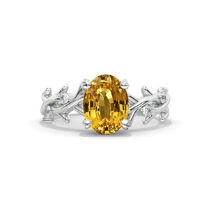 clio-https://clio.giliarto.com/ring/1/751
