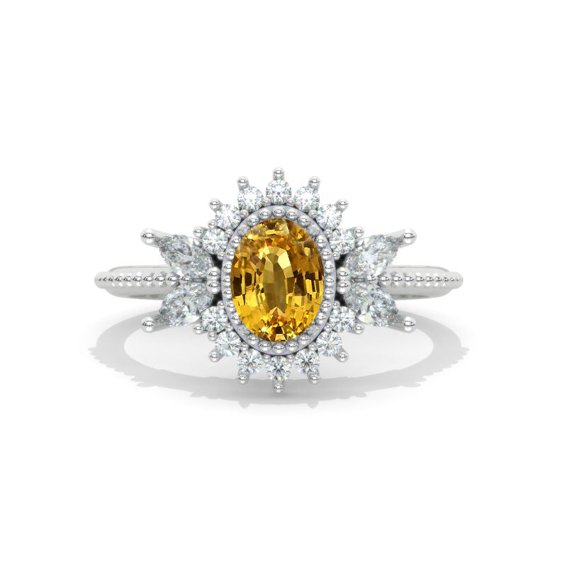clio-https://clio.giliarto.com/ring/1/1211
