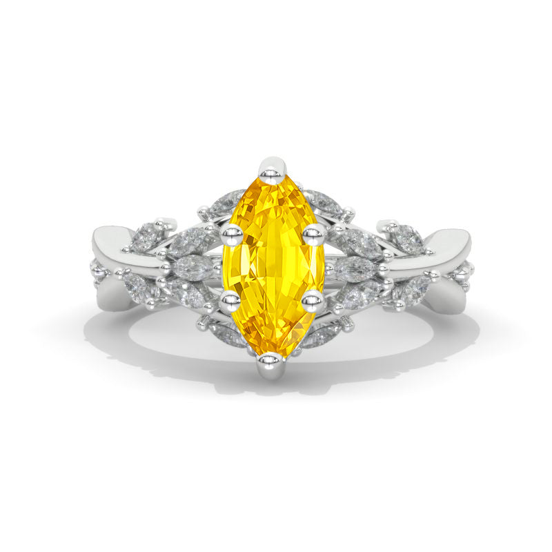 clio-https://clio.giliarto.com/ring/1/851
