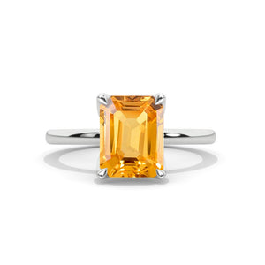 clio-https://clio.giliarto.com/ring/1/1215
