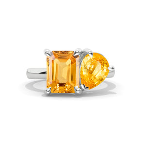 clio-https://clio.giliarto.com/ring/1/572e
