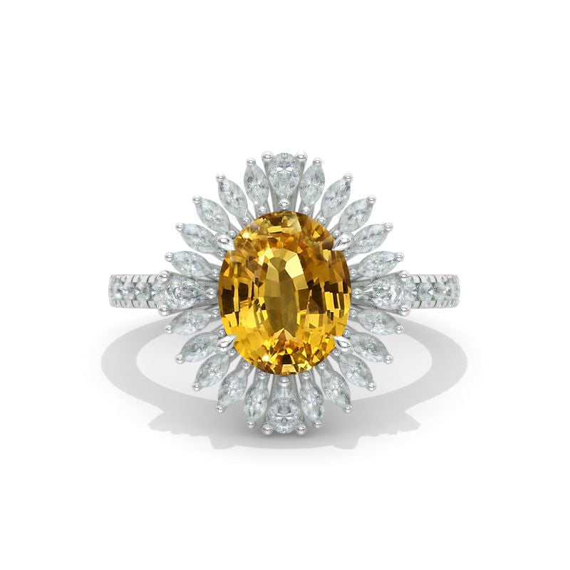 clio-https://clio.giliarto.com/ring/1/1004_10
