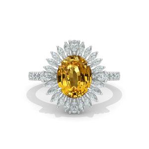 clio-https://clio.giliarto.com/ring/1/1211
